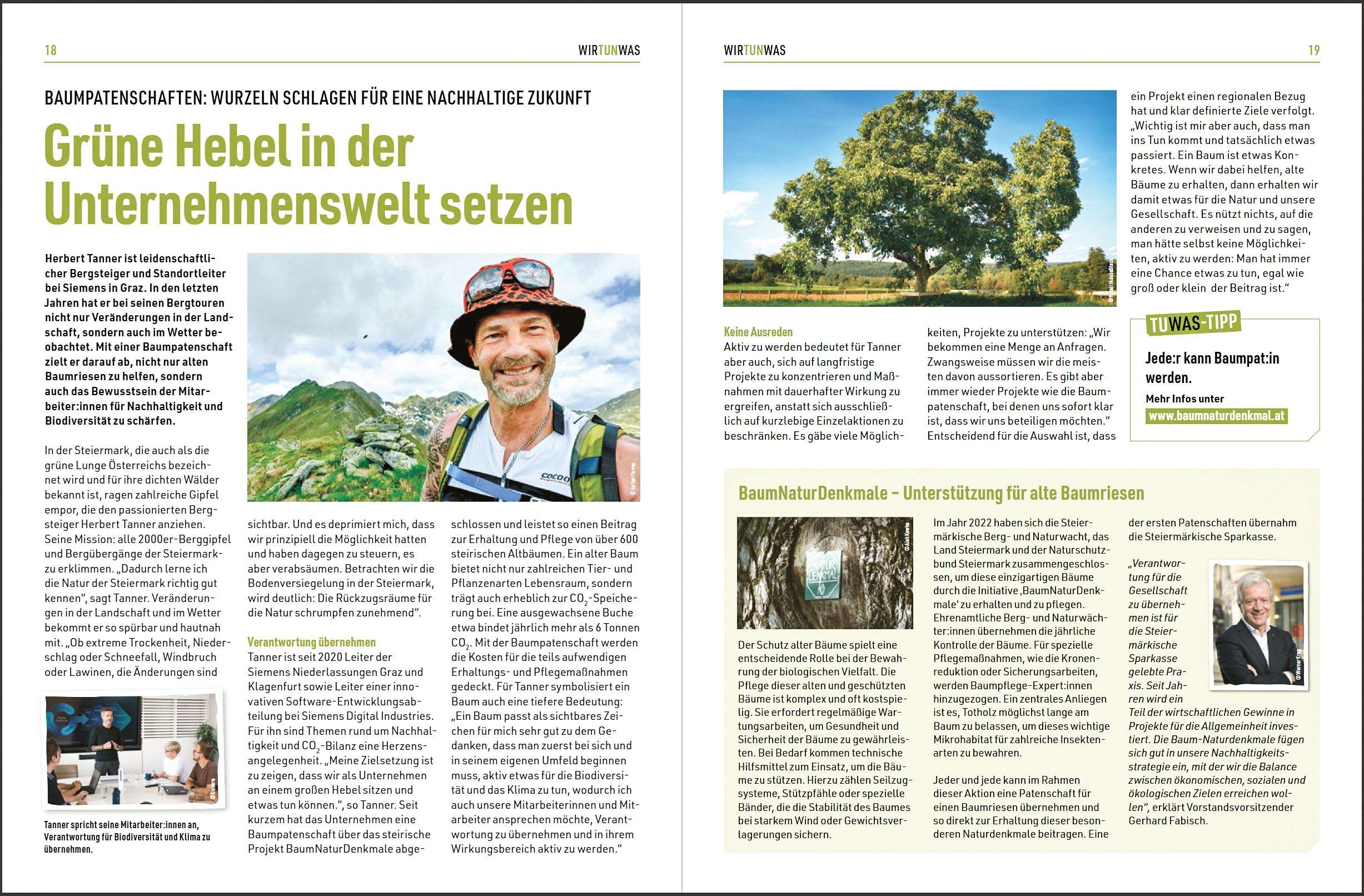 Read more about the article Grüne Hebel in der Unternehmenswelt setzen