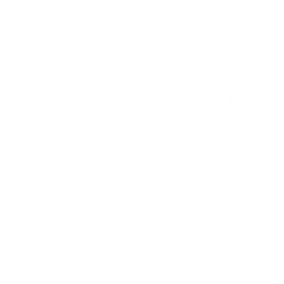 lieco logo weiß